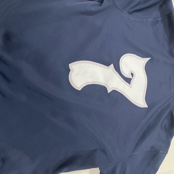 Perfect game, showcase hoodie. You can’t buy these. Hoodies are made for players - Picture 2 of 2